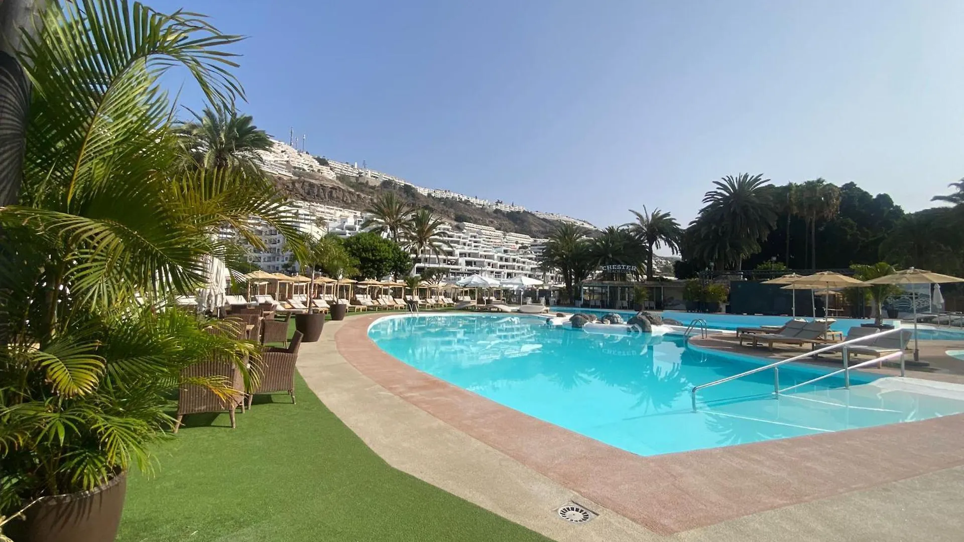 Apartment With Jacuzzi And Pool Access プエルトリコ